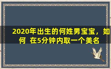 2020年出生的何姓男宝宝，如  何  在5分钟内取一个美名